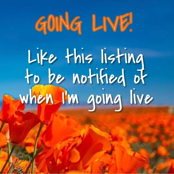 LIVE LISTING! 2/03 Alphabet Train Share Show “G” 1 PM PST/4 PM EST. - Picture 13 of 15